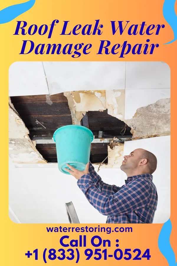Roof Leak Water Damage Repair in Spencer, IN