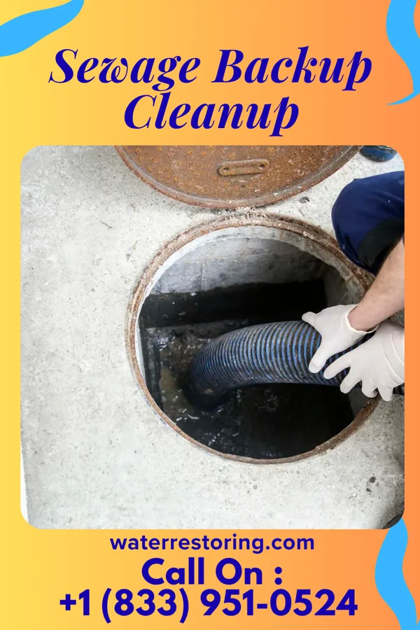 Sewage Backup Cleanup in Spencer, IN